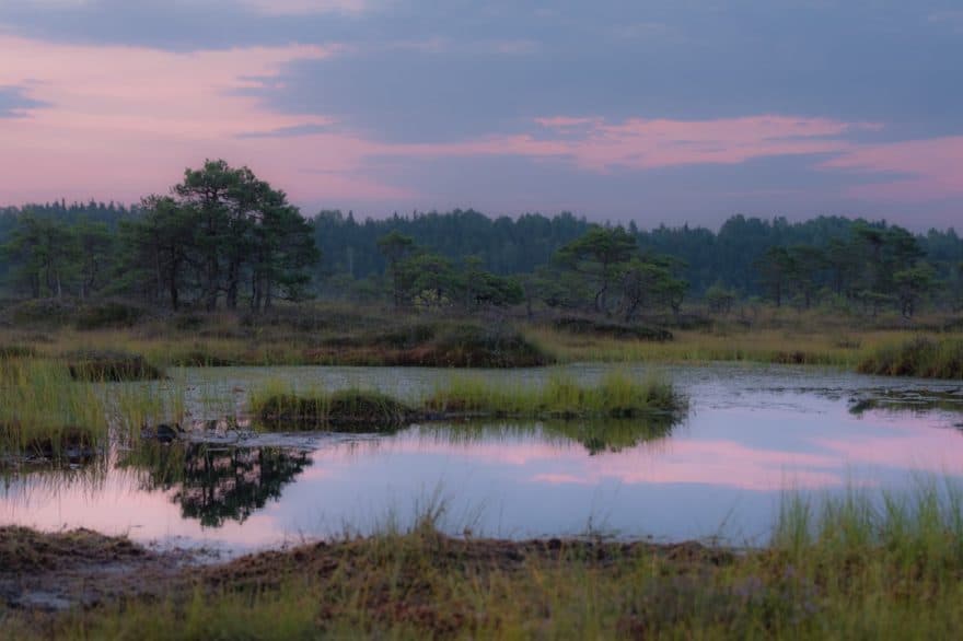 découvrez un havre de paix avec 'nature escape' : un voyage immersif au cœur de la nature, idéal pour se ressourcer et s'évader du quotidien. explorez des paysages époustouflants et reconnectez-vous avec l'environnement.