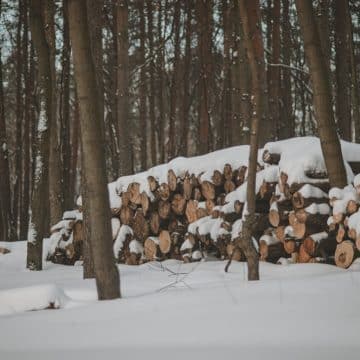 découvrez comment optimiser l'efficacité énergétique de votre véhicule avec des conseils pratiques sur l'entretien, la conduite et le choix du carburant. améliorez vos performances et réduisez votre impact environnemental.