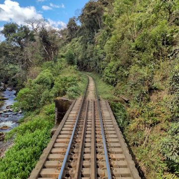 découvrez le plaisir du voyage en train, une expérience unique alliant confort et paysages magnifiques. explorez des destinations variées tout en profitant d'un transport écologique et relaxant.