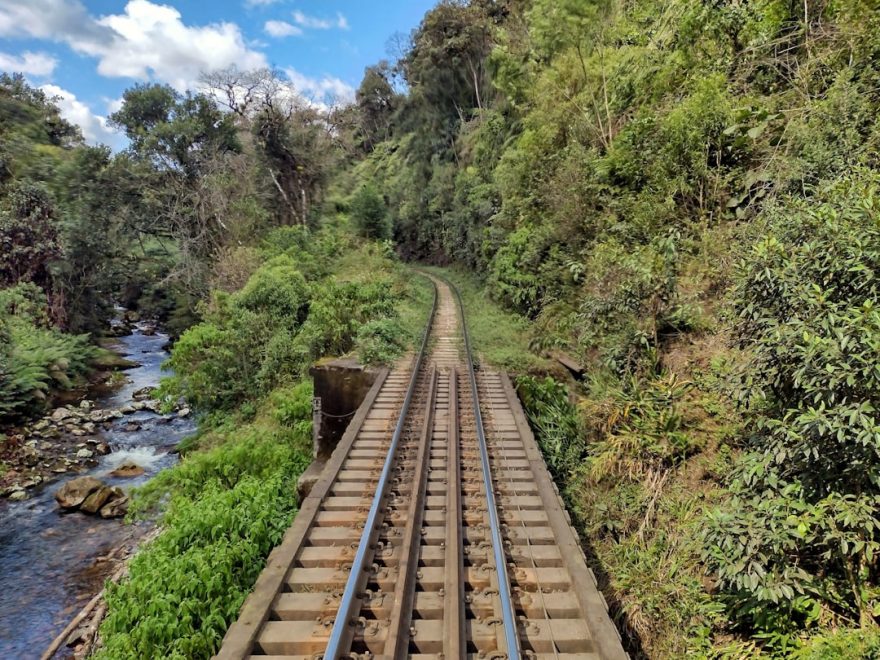 découvrez le plaisir du voyage en train, une expérience unique alliant confort et paysages magnifiques. explorez des destinations variées tout en profitant d'un transport écologique et relaxant.